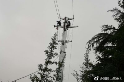 改造主干線為鄉(xiāng)村電網架設雙電源
