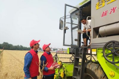 河北電力簡訊：芒種忙忙割，農(nóng)家樂啟鐮