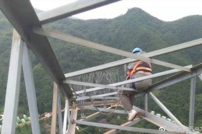 330千伏線路安裝防鳥刺，消除線路鳥害隱患