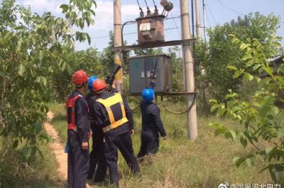 10千伏洛平513線路開展雨后特巡，力保供電可靠