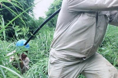 南川區(qū)供電公司緊急搶修被雷擊斷落在路上的10千伏鋒秧線8-10號(hào)桿A、C相