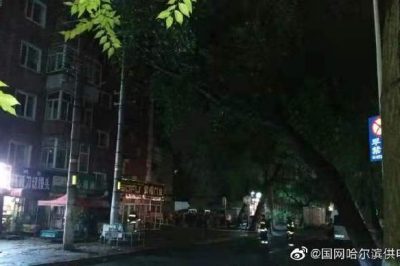 大樹傾倒導(dǎo)致10千伏元合線苗圃線停運并伴有電火現(xiàn)象