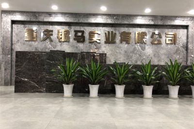 重慶有多少電廠？