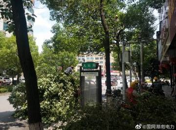 #向配網(wǎng)開戰(zhàn)#風(fēng)景這邊獨(dú)好，砍青掃障