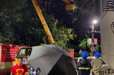 無懼大風(fēng)，連夜搶修供電線路