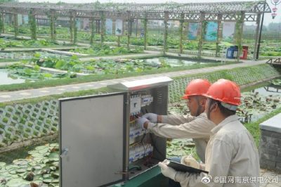 國網(wǎng)南京市江北新區(qū)供電公司安裝變壓器、環(huán)網(wǎng)柜、配電箱等配電設備
