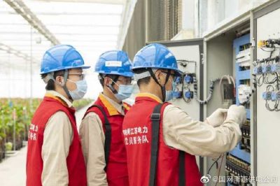 為大棚電力線路、電氣化設備進行縝密排查和整改消缺