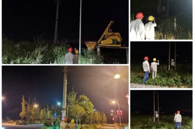 對10千伏君新線用電量大的專變臺區(qū)、斷路器、電纜頭開展常態(tài)化測溫工作
