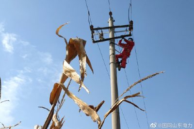 對(duì)10千伏春興線海防支線進(jìn)行清掃、檢修