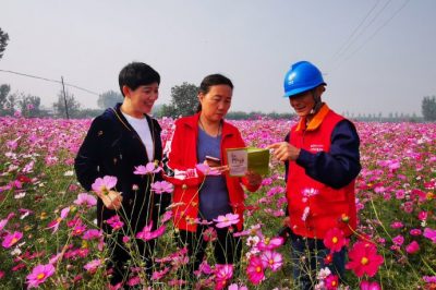 對玉山店村百畝格?；ㄋ诰€路進行全方位的巡視排查