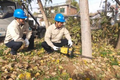 對(duì)轄區(qū)內(nèi)10KV線路通道內(nèi)樹(shù)木進(jìn)行徹底清理