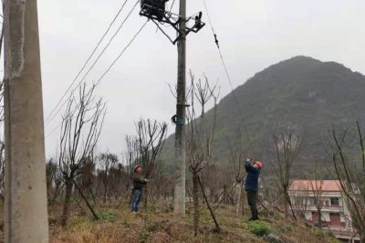 農(nóng)電檢修人員對小石線、高石線等10千伏線路進行集中巡視測溫